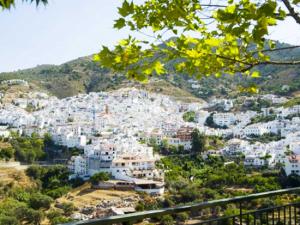 Competa