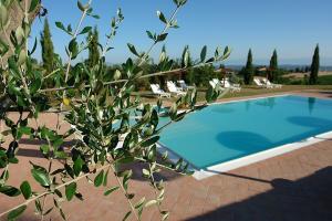 holiday agriturismo bracci 26