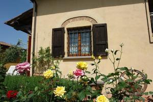 holiday apartment gelsemino 11