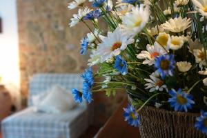 holiday apartment gelsemino 4