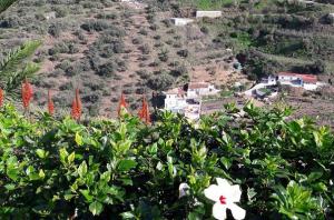 holiday house in spain 34