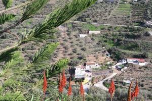 holiday house in spain 35