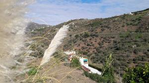 holiday house in spain 36
