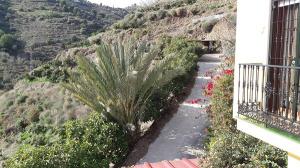 holiday house in spain 38