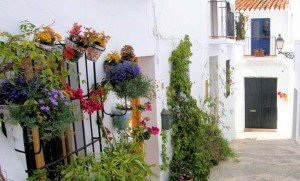 slow 5
