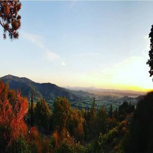 casaveerina 10