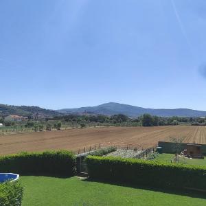 casaveerina 14