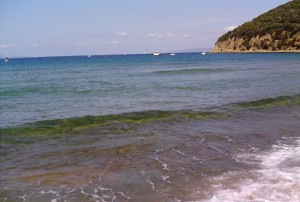 Cala-Violina-2