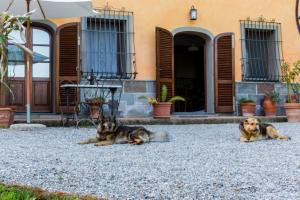 holiday apartment Nonna 1