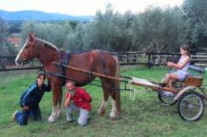 images (Small)