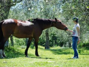 pferd-reiten-am-see (Small)