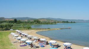 beach (Small)