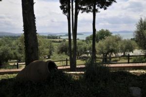 ristorante-antica-dogana (2) (Small)