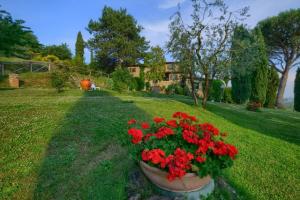 holiday agriturismo podere 19