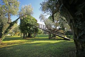 IMG 9598